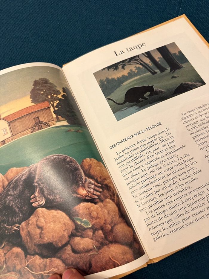 Beau livre vintage Animaux des maisons et des jardins Cemea Hachette Jeunesse documents nature - photo numéro 6