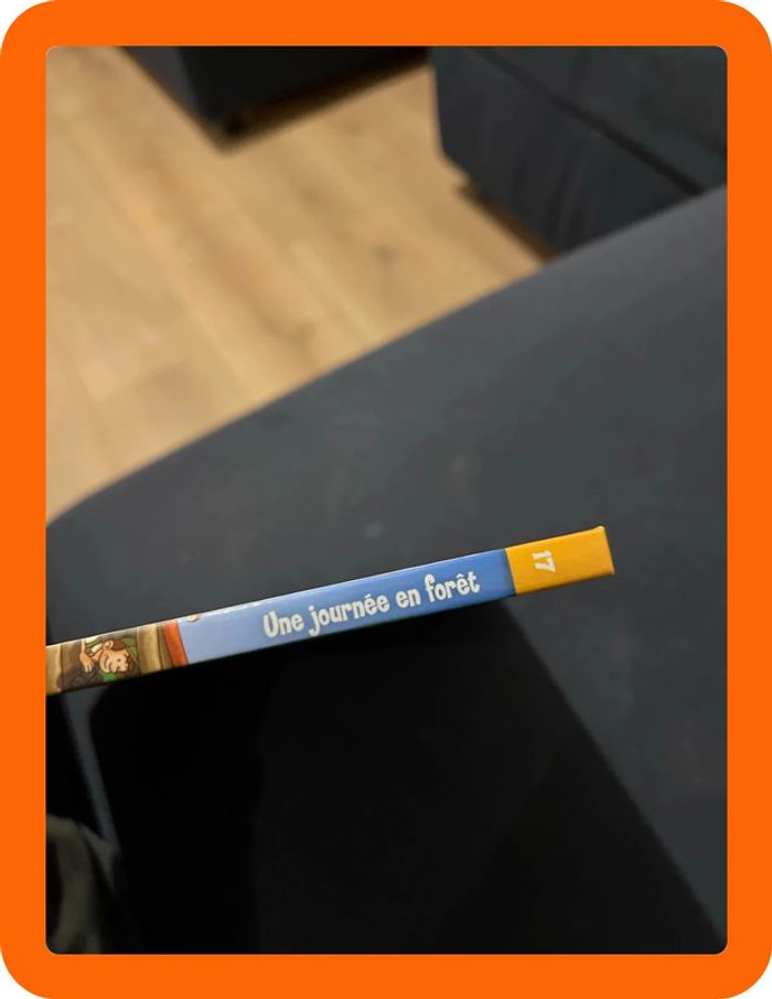 Livre une journée en forêt - photo numéro 2