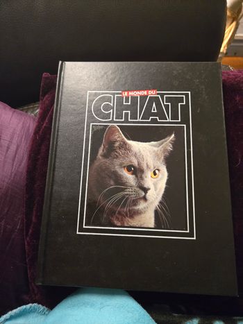 Le monde du chat n °1