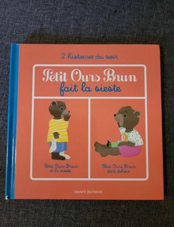 Livre petit ours brun