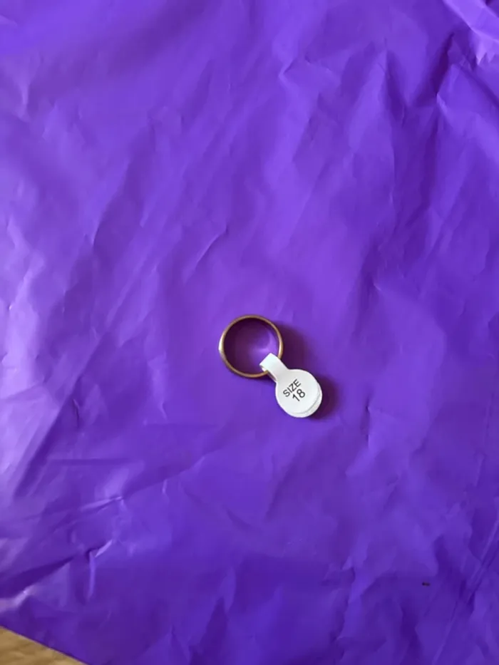 Bague 18 - photo numéro 2
