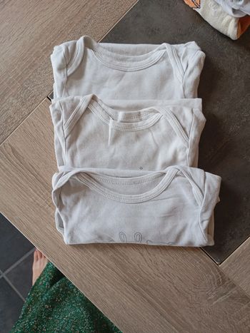 Lot de 3 bodys