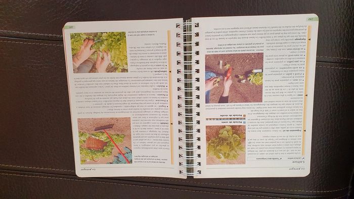 Livre " Bien jardiner " de Christian Pessey, édition Solar - photo numéro 10