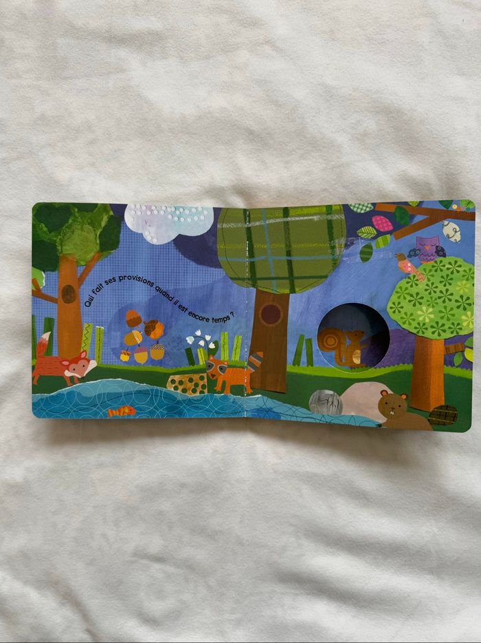 Livre qui se cache dans la forêt - photo numéro 4