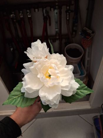 Fleur