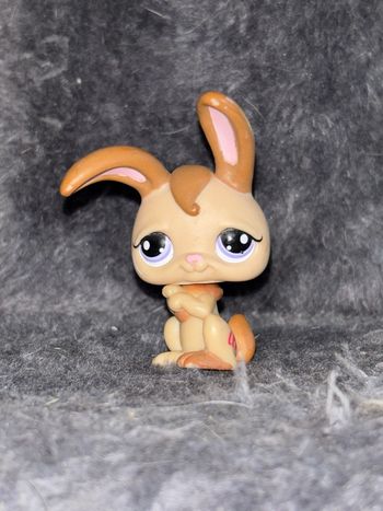 lapin #1089
