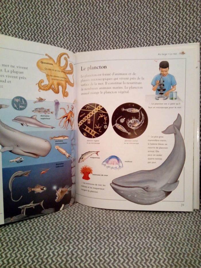 La Mer - Ma première encyclopédie - Ed. Nathan (pour France Loisirs) - photo numéro 8