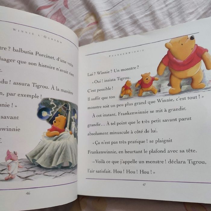 Livre Disney Au Royaume de la Peuuur - photo numéro 6
