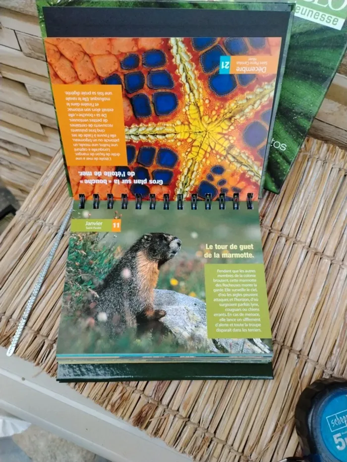 Livre GEO jeunesse nature - photo numéro 2