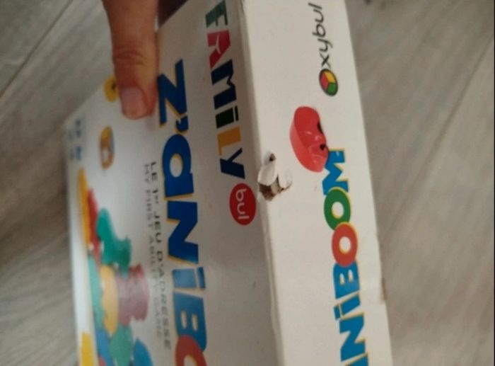 Jeu z'aniboom - photo numéro 2