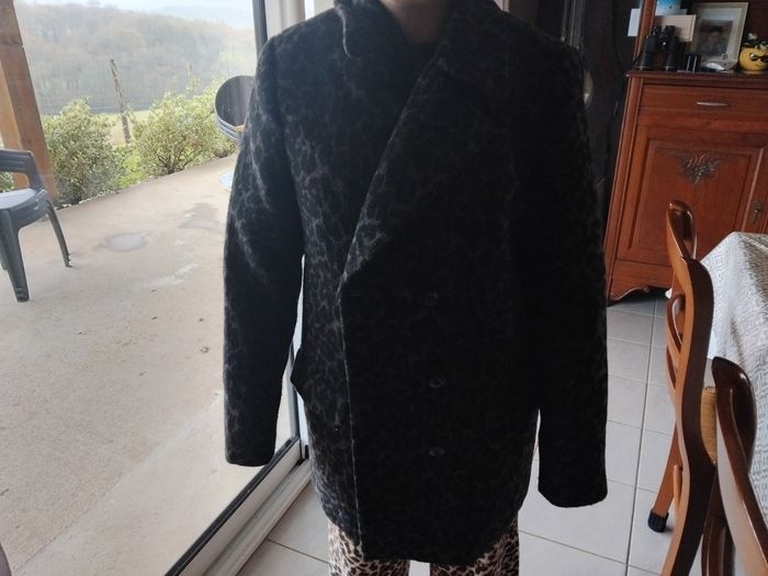 Manteau - photo numéro 2