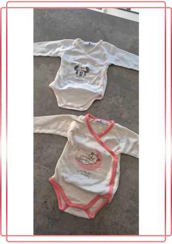 Lot de 2 bodies manches longues fille