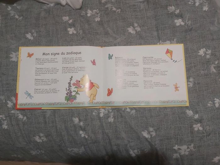 Album bébé winnie l'ourson - photo numéro 5