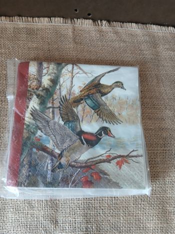 12 serviettes en papier canards