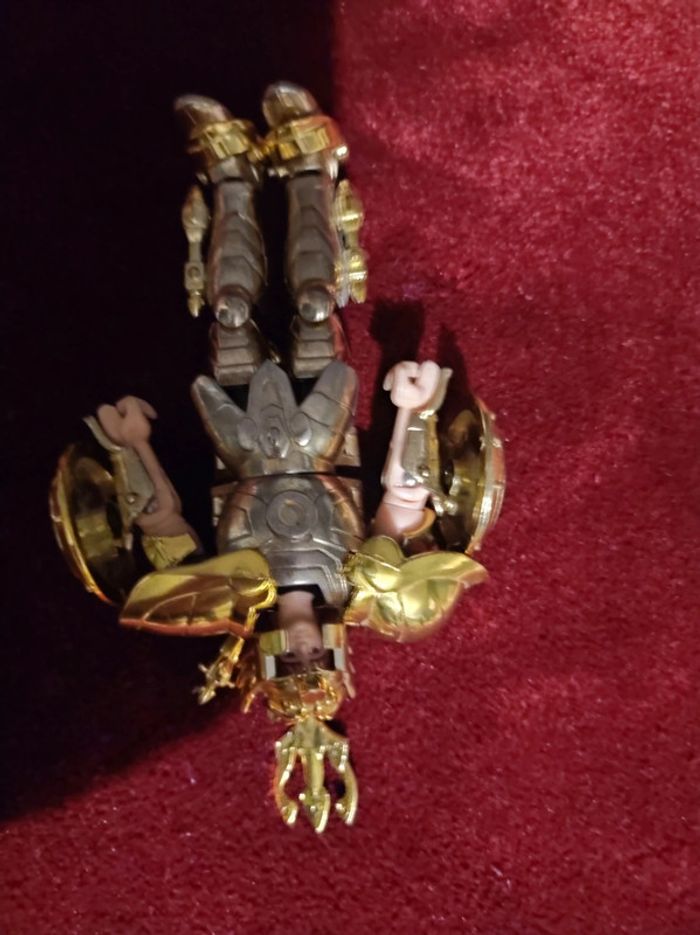 chevalier du zodiaque