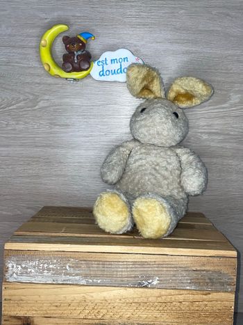 DIV491 doudou lapin 🐰 ni mouche