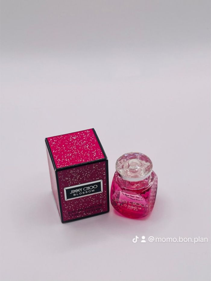 Miniatures - photo numéro 5