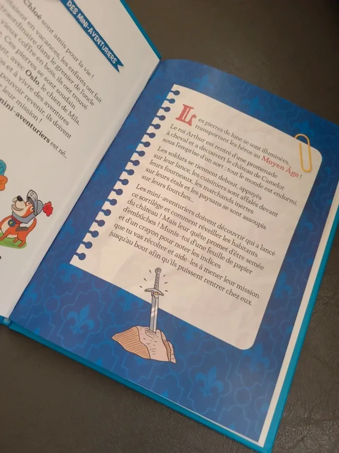 Le château endormi du roi Arthur - photo numéro 2