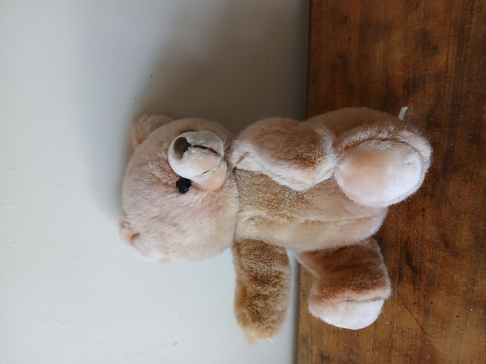 peluche ours
