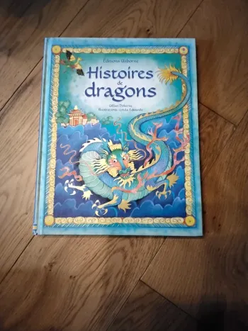 Livre Histoire de dragons
