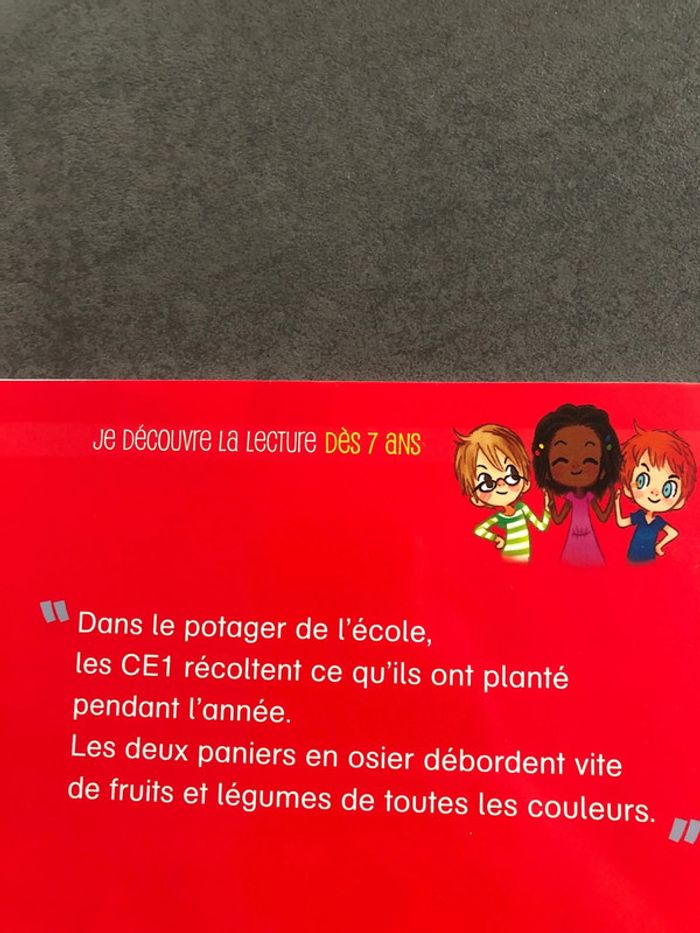 Livres CE1 - photo numéro 11