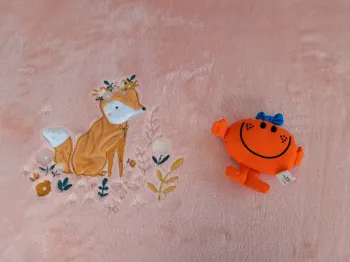 Madame boute en train