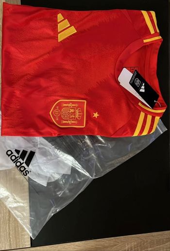 Maillot domicile Espagne 2024