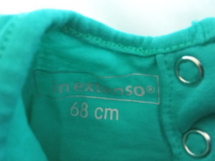 T-shirt ML bleu hérisson 6 mois - photo numéro 3