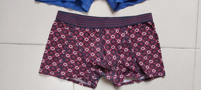 Boxer M - photo numéro 3