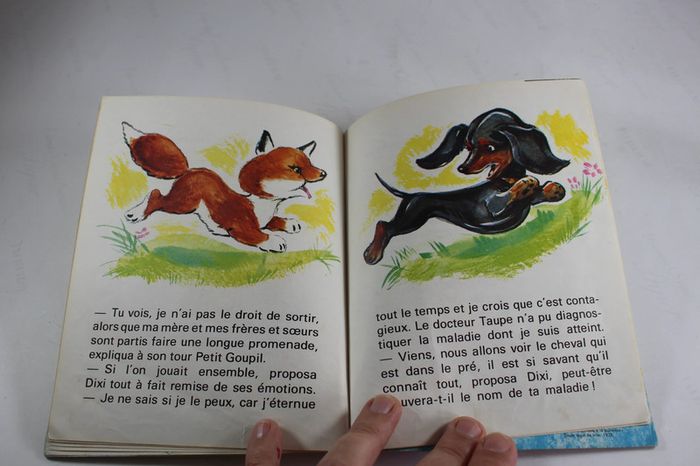 Anciens Livres enfants 70s Malheurs de Sophie, Petit Goupil et Souricette - photo numéro 15
