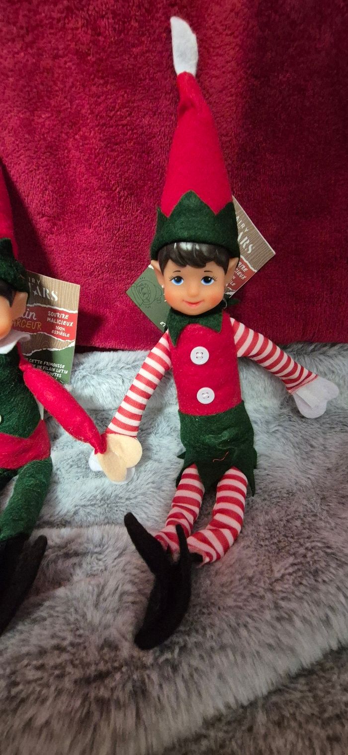 Duo lutins farceurs - photo numéro 3