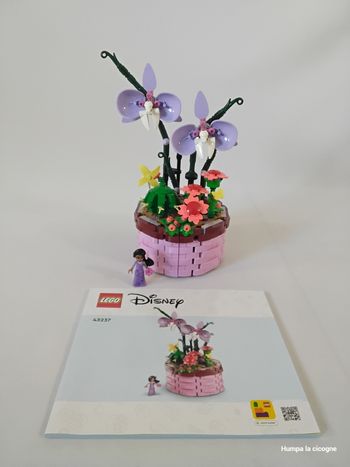 Lego Disney 43237 (D246)