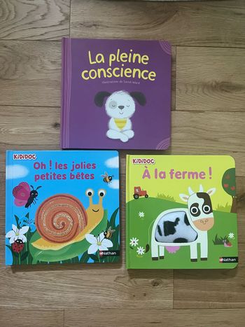 Lot de livres pour petits