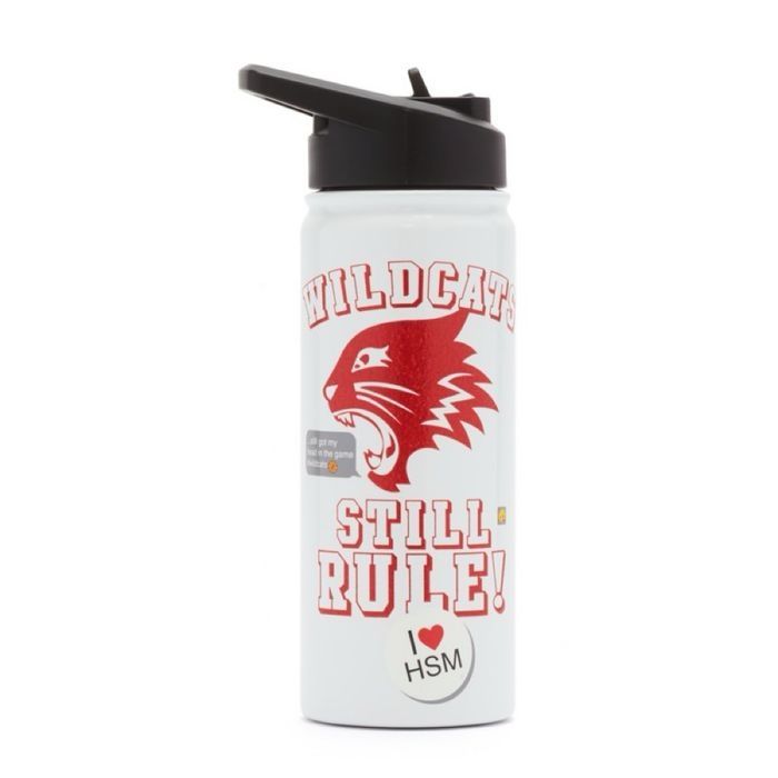 Gourde disney store High school musical - photo numéro 4