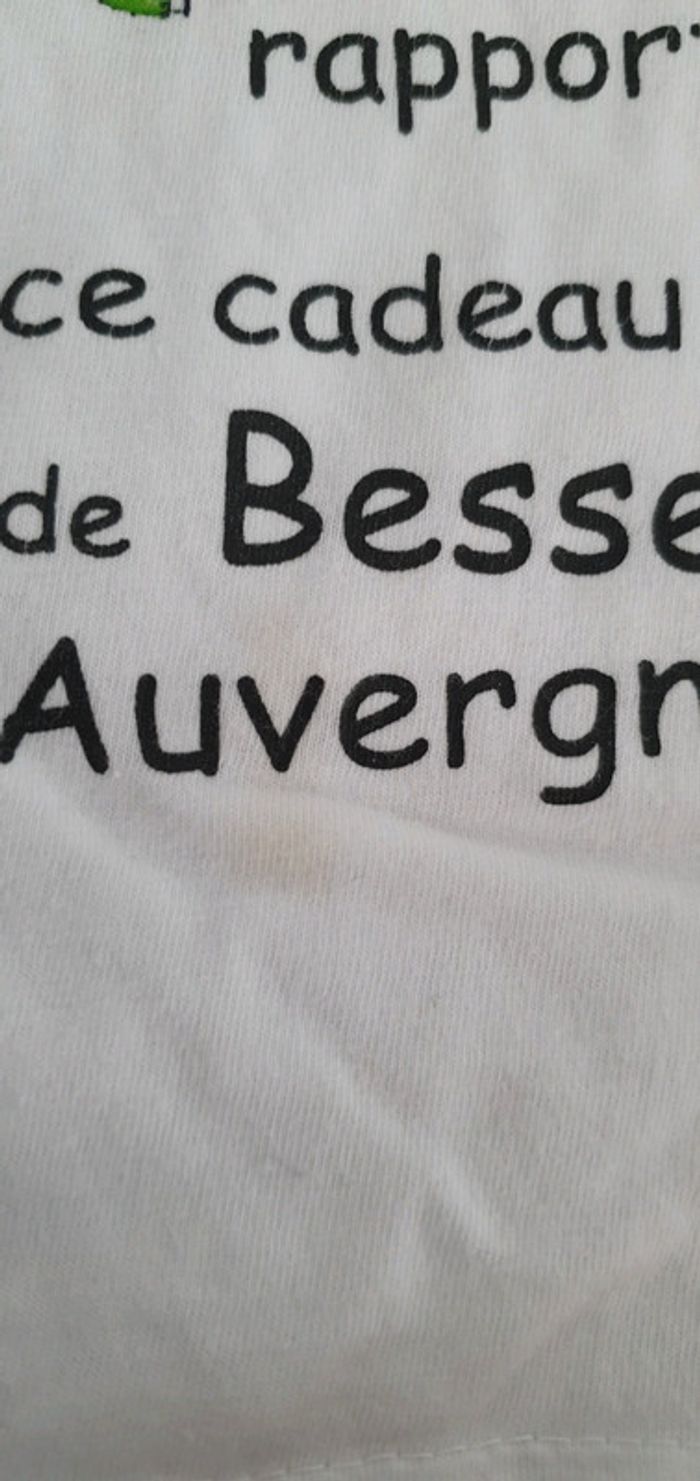 T-shirt MC Auvergne 2/4 ans CH - photo numéro 4