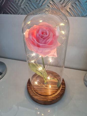 Rose éternelle led