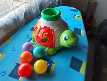 Tortue à balles