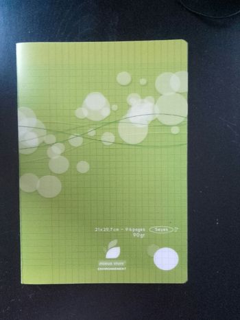Cahier 21x29,7- 96 pages - vert - grands carreaux
