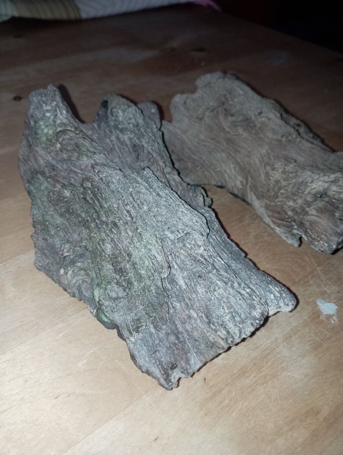 Décoration de terrarium - photo numéro 2