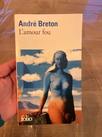 Livre l’amour fou