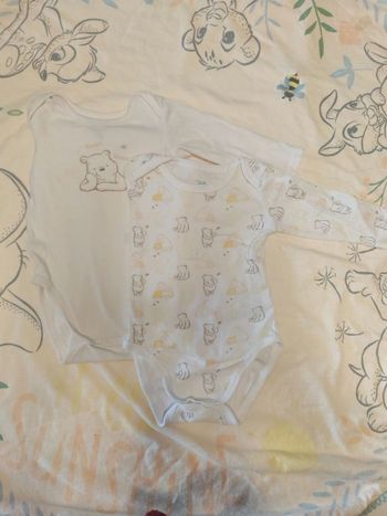 Lot 2 bodies winnie Disney 9mois