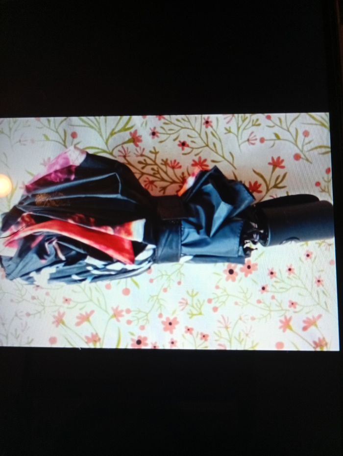 Parapluie johnny Hallyday - photo numéro 5