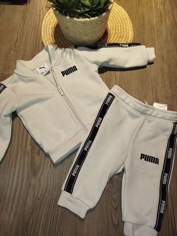 Ensemble puma