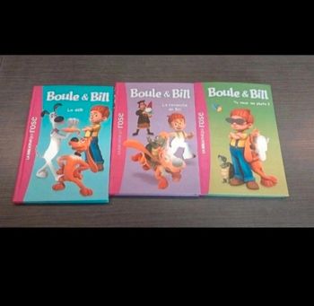 lot 3 livres boule et bill