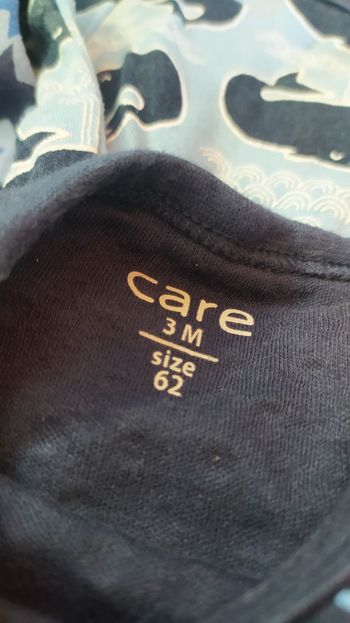 Lot de 5 bodies manches longues 3 mois CARE