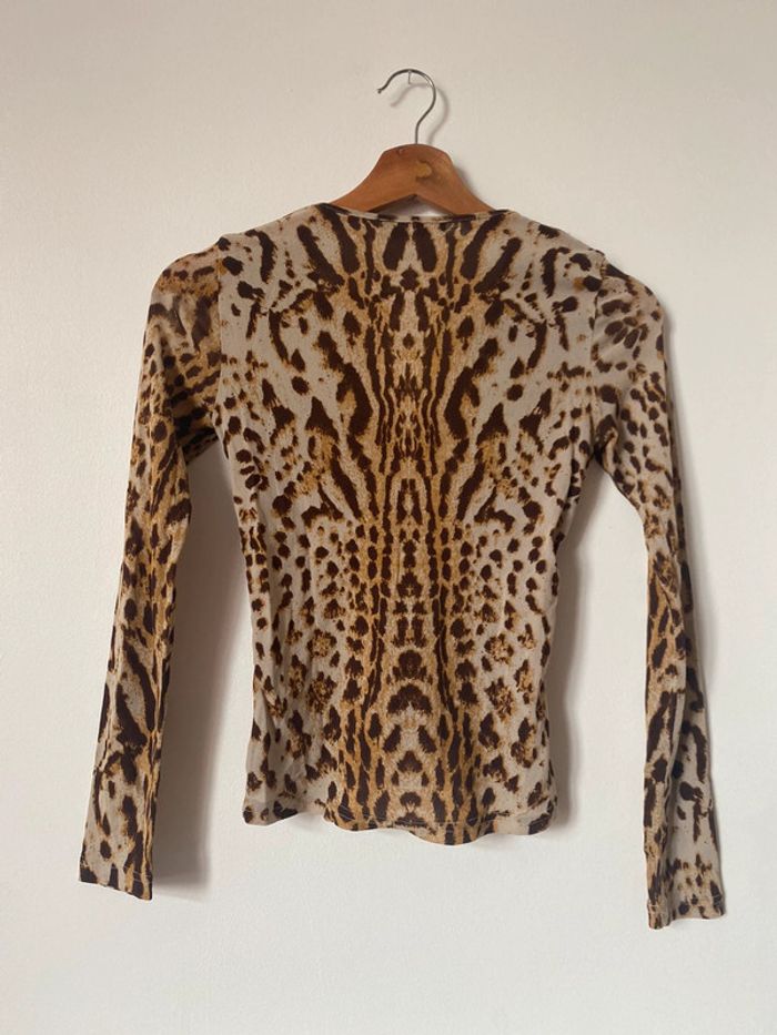 Morgan leopard - photo numéro 8