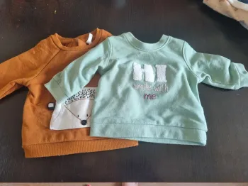 Lot 2 sweat bébé