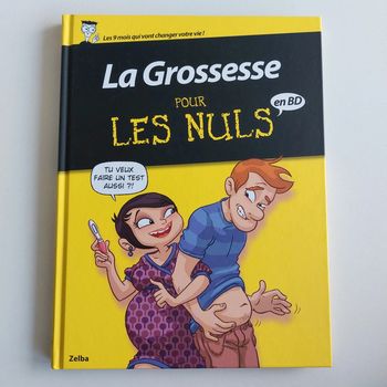 Livre - La Grossesse pour les Nuls en BD
