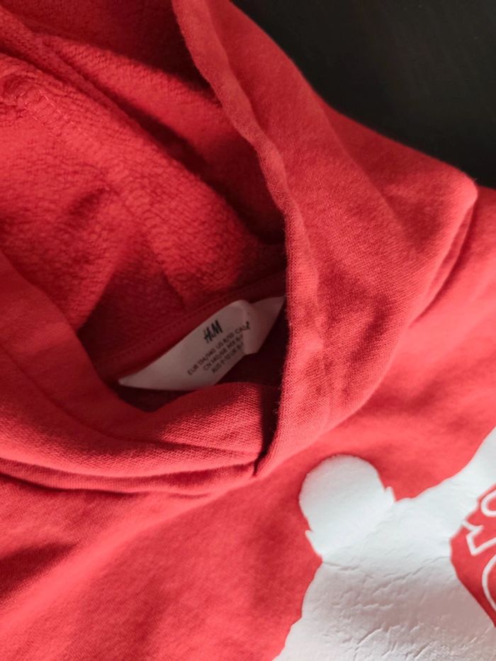 Sweat a capuche - photo numéro 2