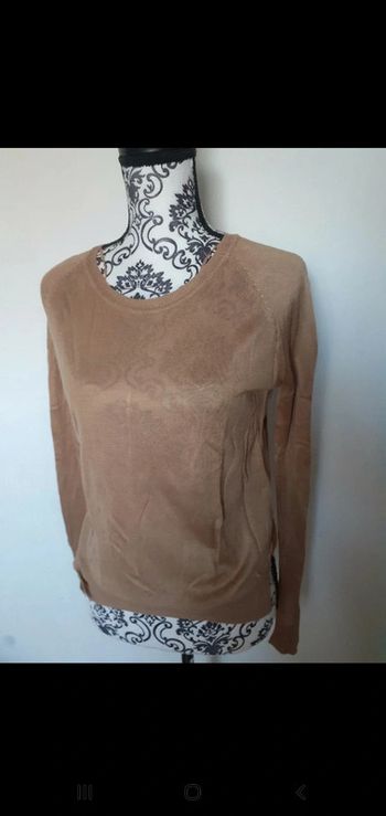 Pull camel mi saison